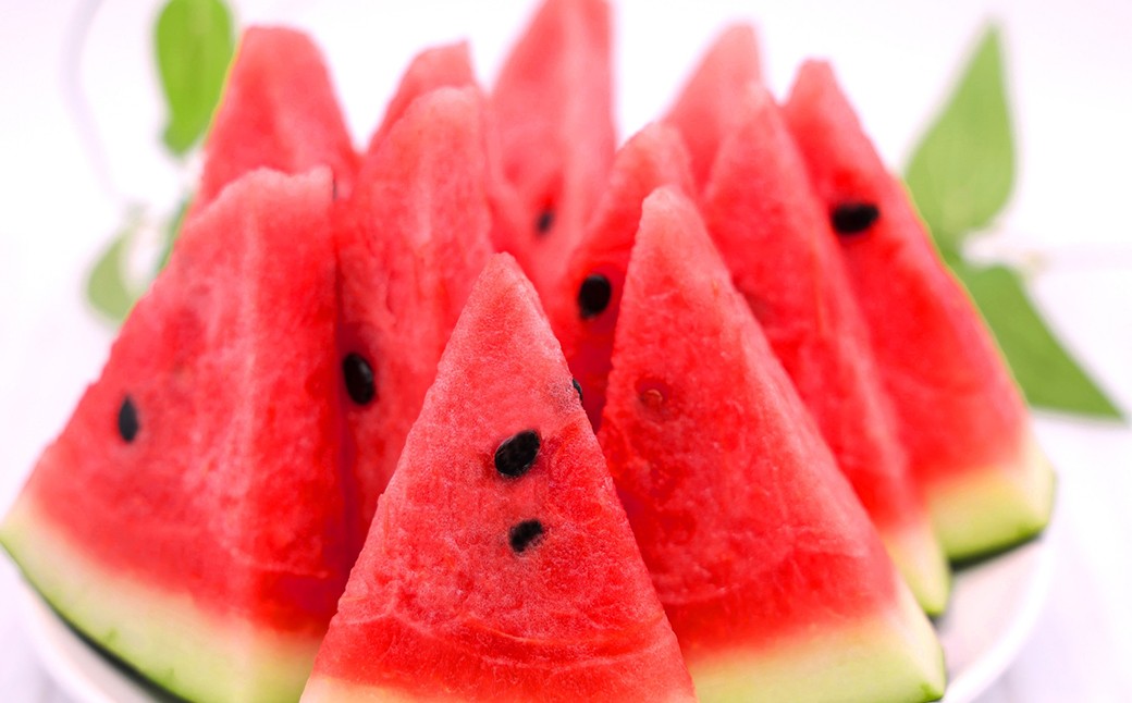 大玉 すいか 1玉 L以上 約5kg【2026年5月上旬～6月下旬発送予定】