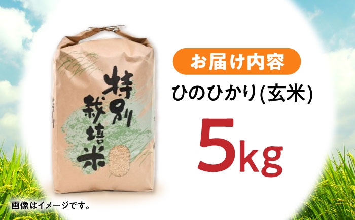米 こめ お米 おこめ 玄米 げんまい ごはん ひのひかり ヒノヒカリ 長崎県産 国産 5キロ 5kg
