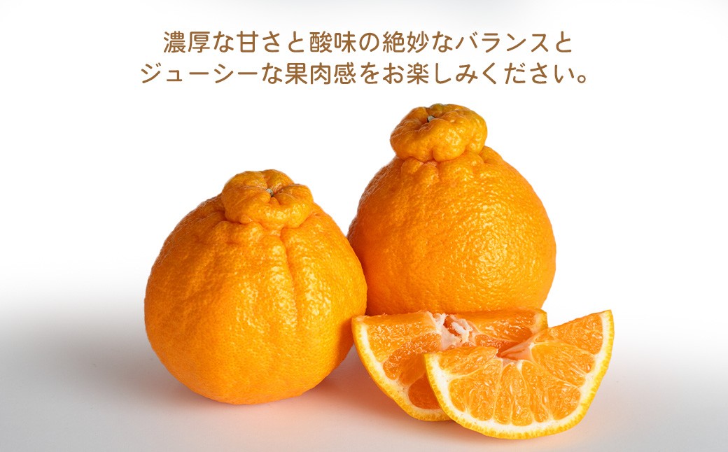 環境マイスターの不知火 良品 2.5kg