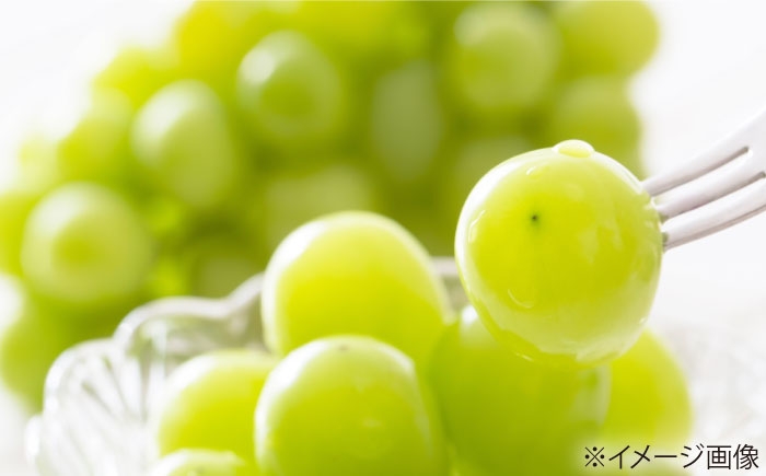 ぶどう グレープ スイーツ 果物 フルーツ 手作り 甘い 果物 詰め合わせ セット ニューピオーネ ふじみのり 4房 5房