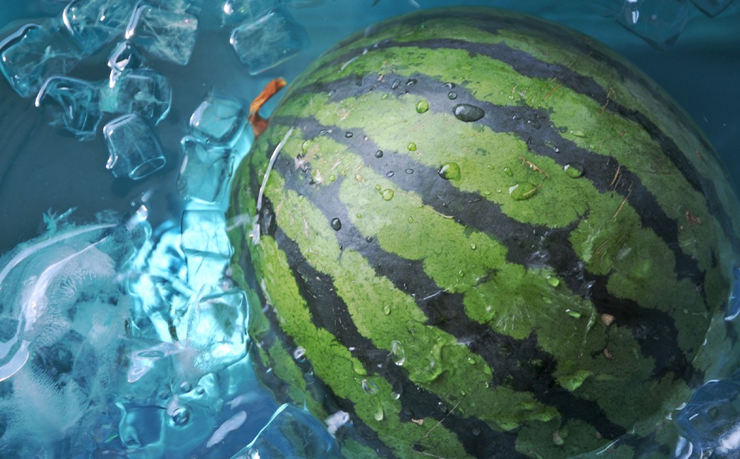 大玉 すいか 1玉 L以上 約5kg【2026年5月上旬～6月下旬発送予定】