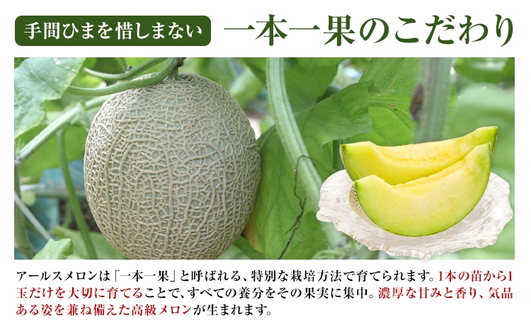【2023年7月下旬より発送】 アールスメロン 2玉 2L以上 くまモン 箱入り