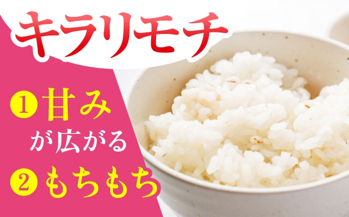 無洗米・もち麦セット（さがびより3kg・キラリモチ 300g×2袋）[HBL092] 精米 米 お米 こめ 雑穀 麦 ブランド米