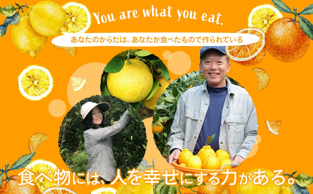 環境マイスターの不知火 良品 2.5kg