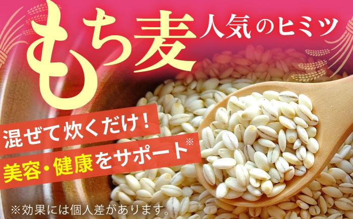 白米・もち麦セット（さがびより3kg・キラリモチ 300g×2袋）[HBL094] / 精米 米 お米 こめ 麦ごはん 雑穀
