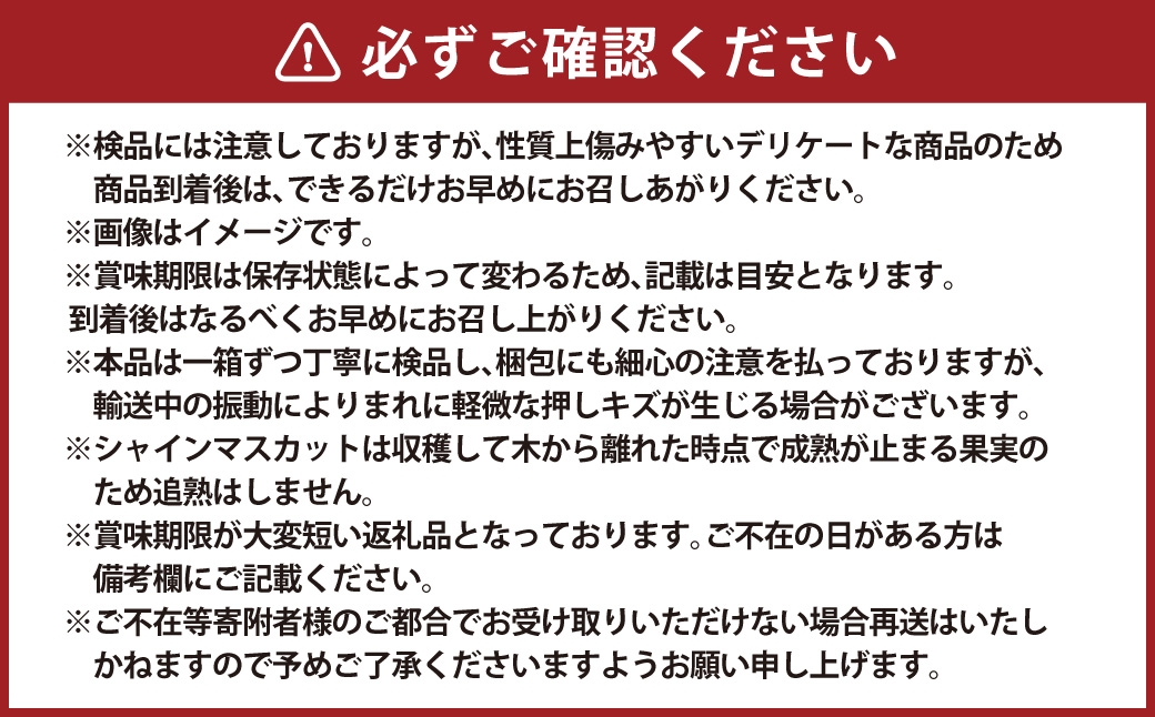 【 先行予約 】 訳あり 木熟ぶどう ハレノシャイン シャインマスカット 2房 約1.2kg