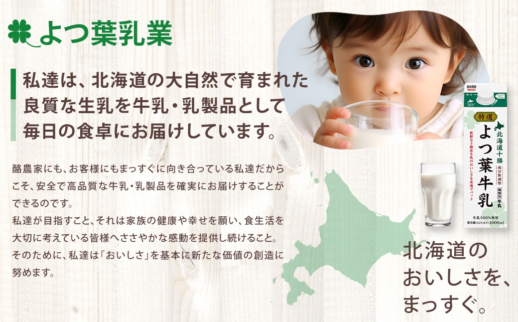 「よつ葉」北海道十勝 おつまみチーズ 2種（各4個セット）【B152】