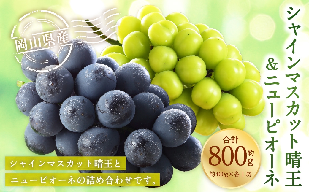 【2026年8月下旬～9月下旬発送予定】岡山県産 シャインマスカット「晴王」とニューピオーネ Lサイズ 計約800g