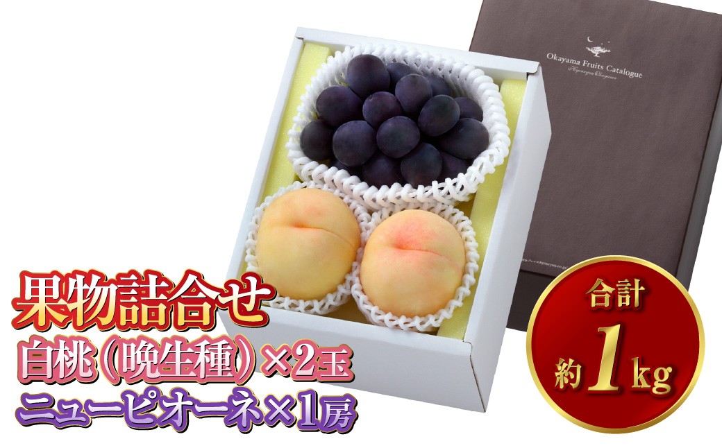 果物詰合せ 合計約1.0kg（白桃（晩生種） 2玉・ニュー ピオーネ 1房）