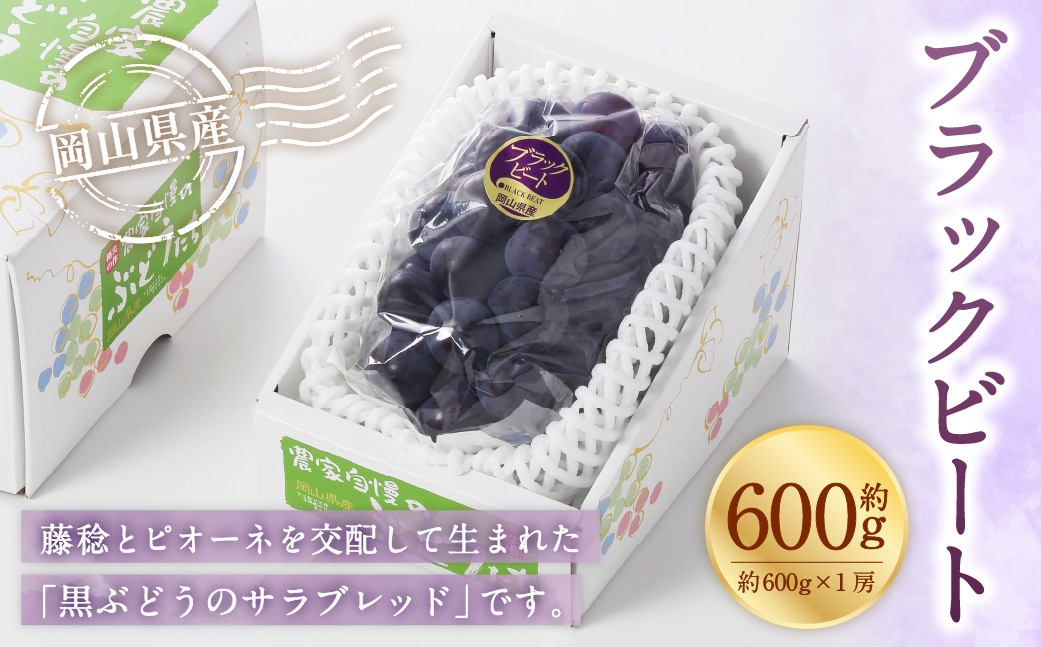 【2026年8月上旬～9月上旬発送予定】岡山県産 ブラックビート 約600g（約600g×1房）