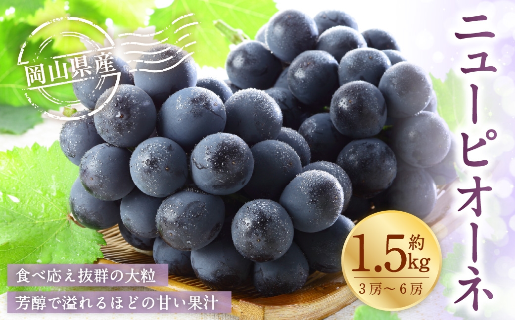 【2026年6月下旬～7月下旬発送予定】岡山県産 ニューピオーネ 約1.5kg（3房～6房）