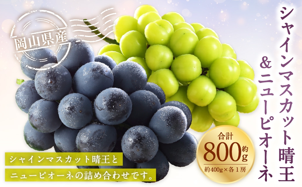 【2026年6月下旬～7月下旬発送予定】岡山県産 シャインマスカット 晴王･ニューピオーネ Lサイズ  計約800g 詰合せ