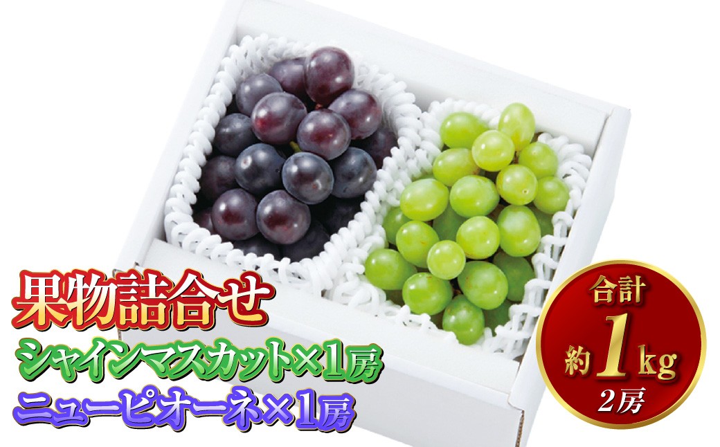 果物詰合せ 合計約1.0kg（シャインマスカット 1房・ニュー ピオーネ 1房）