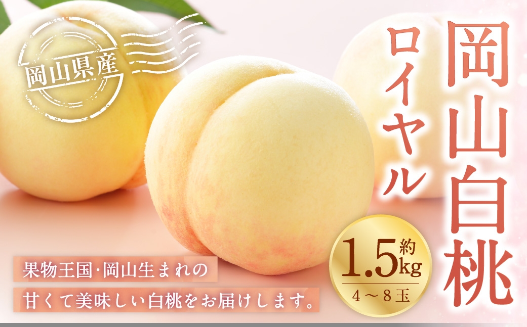 【2026年7月上旬～8月下旬発送予定】岡山白桃 ロイヤル 4～8玉 約1.5kg 岡山県産