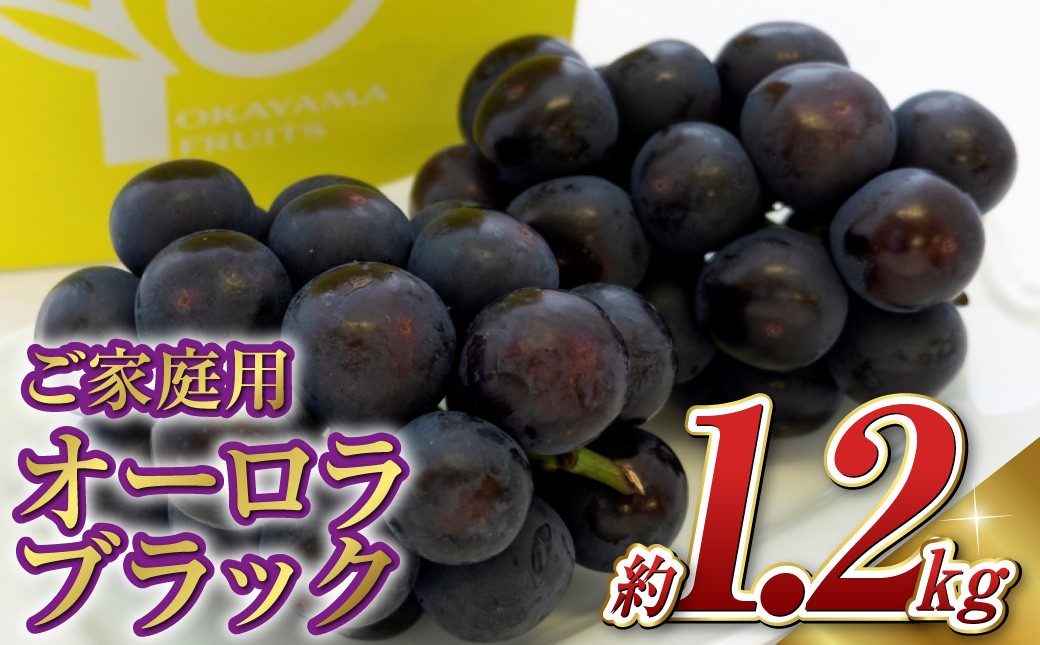 《ご家庭用》 オーロラブラック 2～3房 （合計約1.2kg）