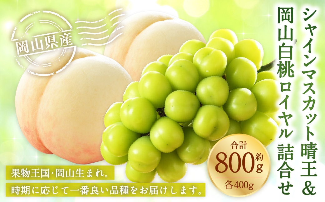 岡山県産 岡山白桃 ロイヤル Lサイズ 約200g×2玉･シャインマスカット 晴王 約400g×1房 詰合せ