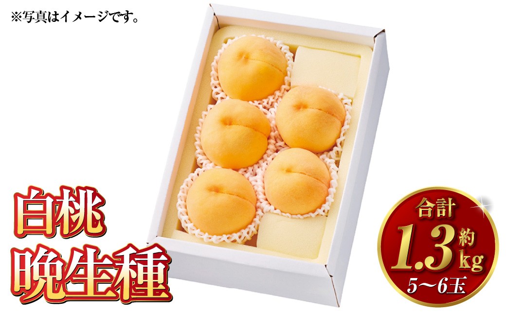 白桃 晩生種 5～6玉（約1.3kg）