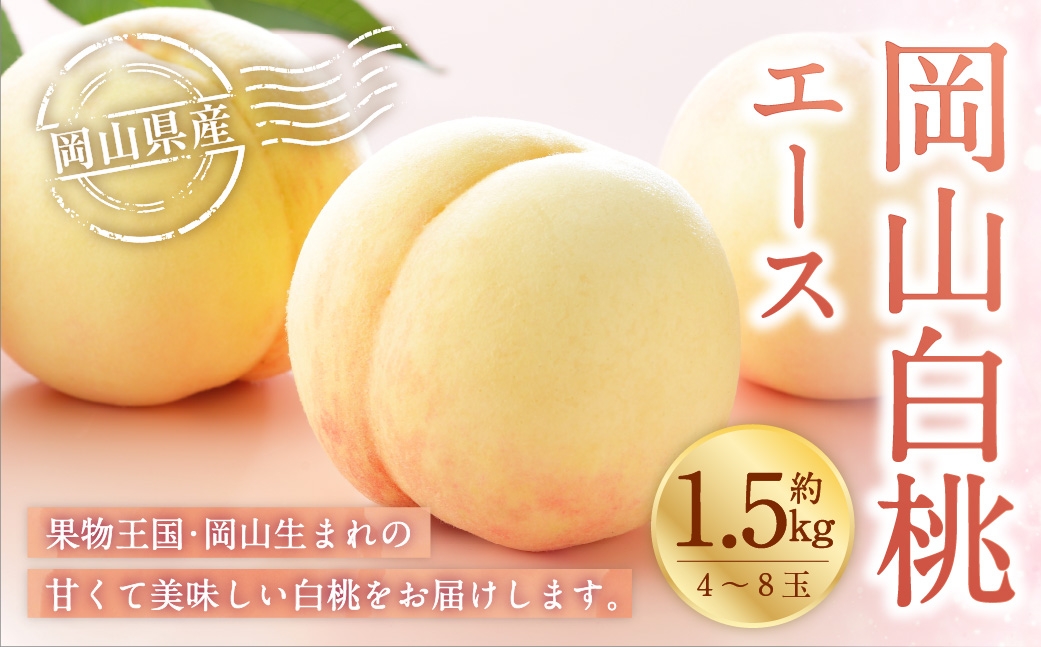 【2026年7月上旬～8月下旬発送予定】岡山白桃 エース 4～8玉 約1.5kg 岡山県産