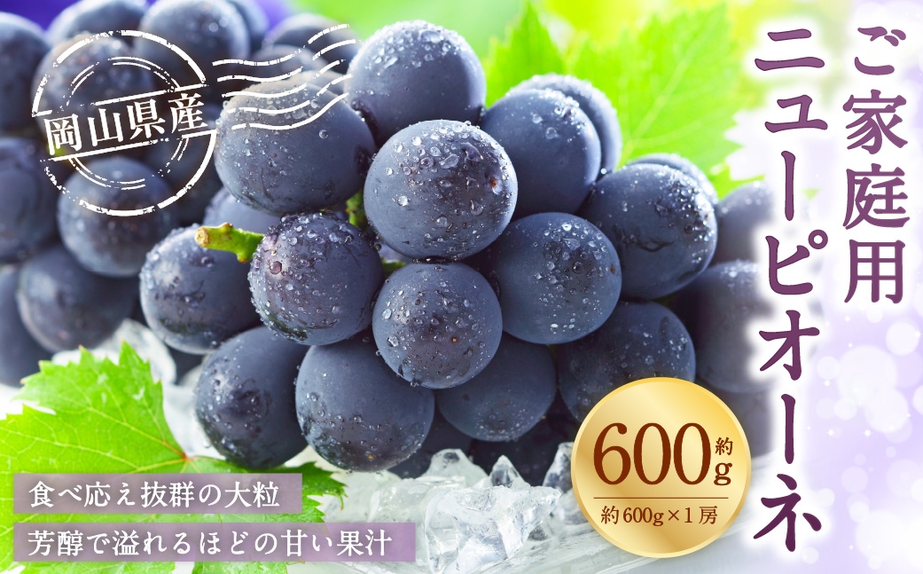 【2026年8月下旬～9月下旬発送予定】ご家庭用 岡山県産 ニューピオーネ 約600g（600g×1房）
