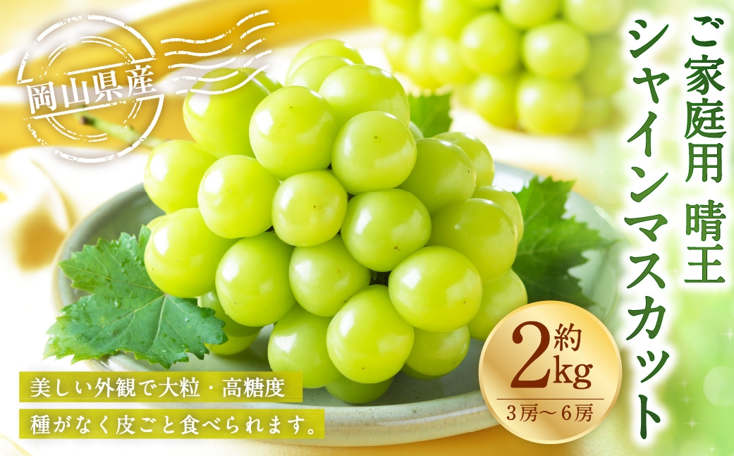 【2026年8月下旬～11月下旬発送予定】ご家庭用 岡山県産 シャインマスカット 晴王 約2kg（3房～6房）