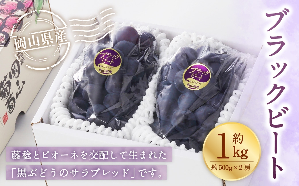 【2026年8月上旬～9月上旬発送予定】岡山県産 ブラックビート 約1kg（約500g×2房）