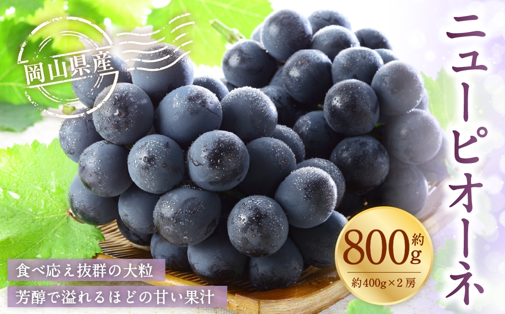 【2026年6月下旬～7月下旬発送予定】岡山県産 ニューピオーネ 約800g（約400g×2房）
