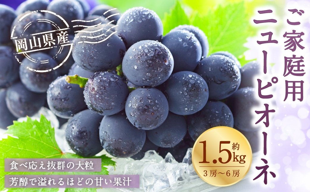 【2026年8月下旬～9月下旬発送予定】ご家庭用 岡山県産 ニューピオーネ 約1.5kg（3房～6房）