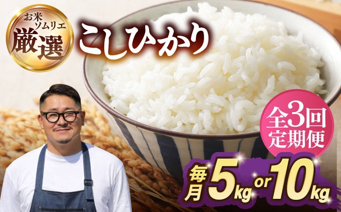 人気 贈り物 ギフト