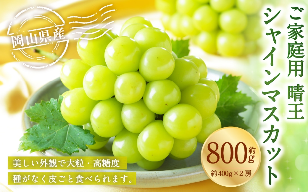 【2026年8月下旬～11月下旬発送予定】ご家庭用 岡山県産 シャインマスカット 晴王 約800g（400g×2房）