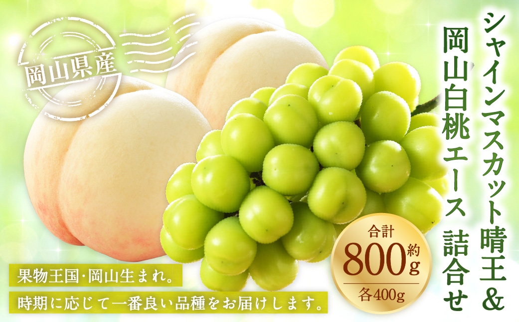 岡山県産 岡山白桃 エース Lサイズ 約200g×2玉･シャインマスカット 晴王 約400g×1房 詰合せ