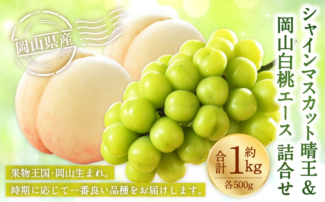 岡山県産 岡山白桃 エース 2Lサイズ 約250g×2玉･シャインマスカット 晴王 約500g×1房 詰合せ