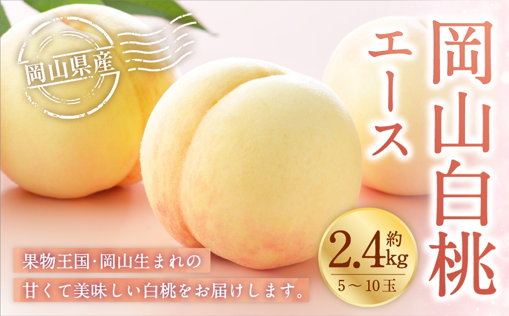 【2026年7月上旬～8月下旬発送予定】岡山白桃 エース 5～10玉 約2.4kg 岡山県産