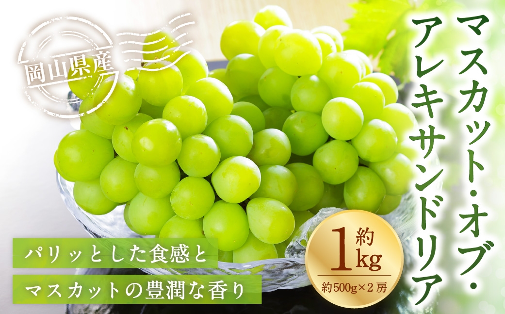 【2026年8月下旬～9月下旬発送予定】岡山県産 マスカット･オブ･アレキサンドリア 約1kg（500g×2房）
