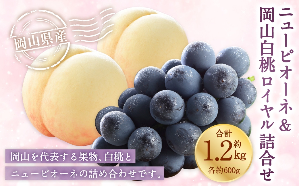 岡山県産 岡山白桃 ロイヤル 3Lサイズ 約300g×2玉･ニューピオーネ 約600g×1房 詰合せ