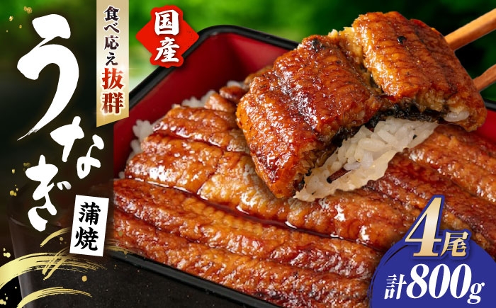 うなぎ 鰻 ウナギ 鰻蒲焼き うなぎ蒲焼き ひつまぶし うなぎ茶漬け おにぎり 国産 真空 冷凍 蒲焼 丑の日 個包装 小分け