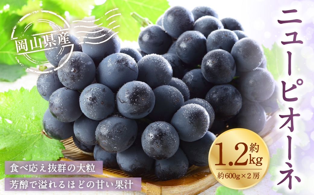 【2026年6月下旬～7月下旬発送予定】岡山県産 ニューピオーネ 約1.2kg（約600g×2房）