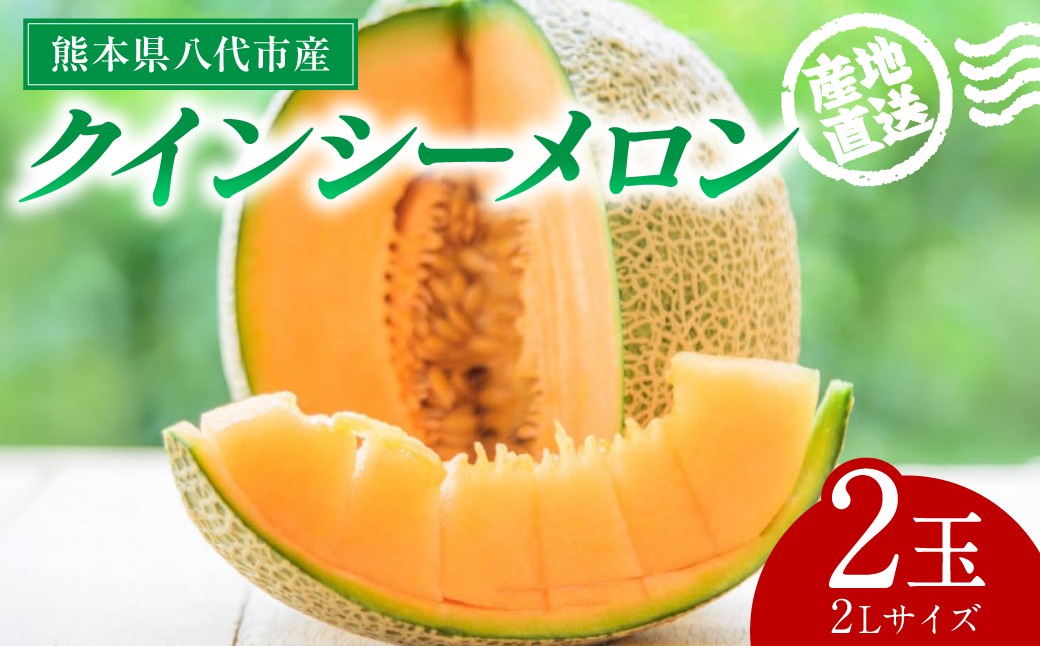 クインシーメロン 2Lサイズ 2玉