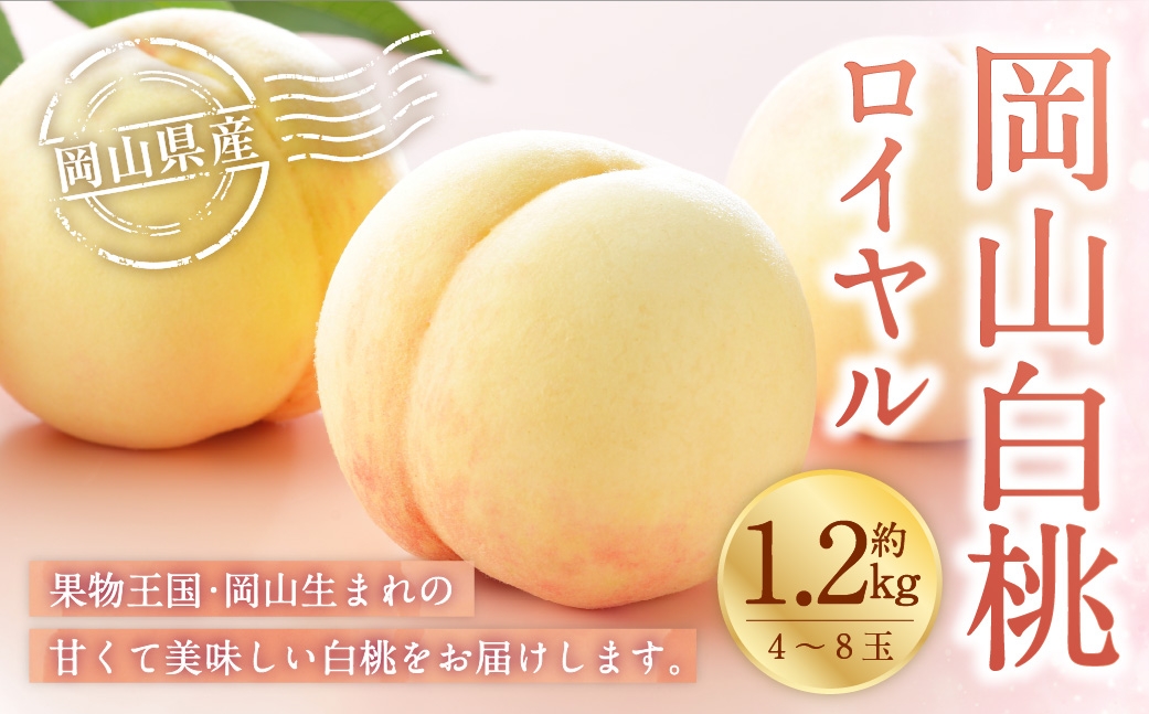 【2026年7月上旬～8月下旬発送予定】岡山白桃 ロイヤル 4～8玉 約1.2kg 岡山県産