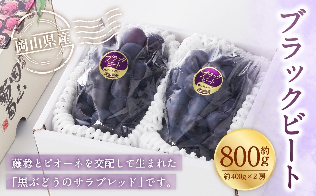 【2026年8月上旬～9月上旬発送予定】岡山県産 ブラックビート 約800g（約400g×2房）