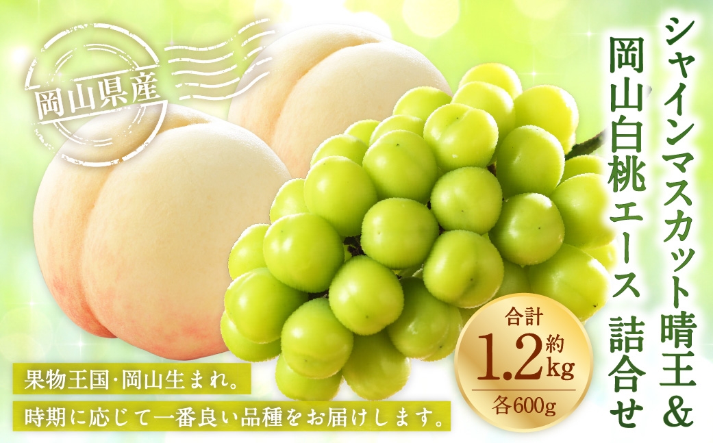 岡山県産 岡山白桃 エース 3Lサイズ 約300g×2玉･シャインマスカット 晴王 約600g×1房 詰合せ