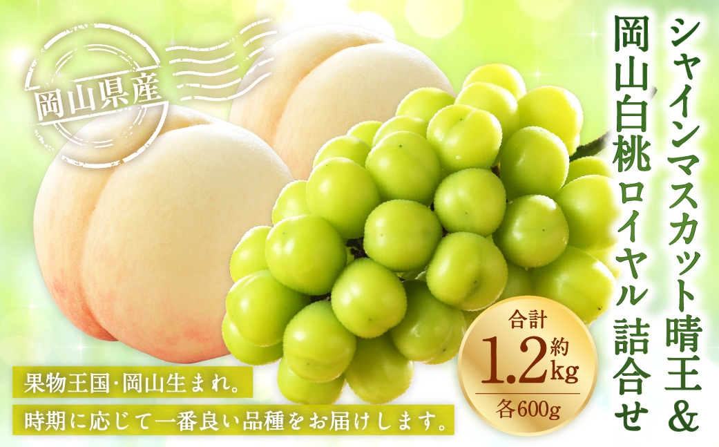 岡山県産 岡山白桃 ロイヤル 3Lサイズ 約300g×2玉･シャインマスカット 晴王 約600g×1房 詰合せ