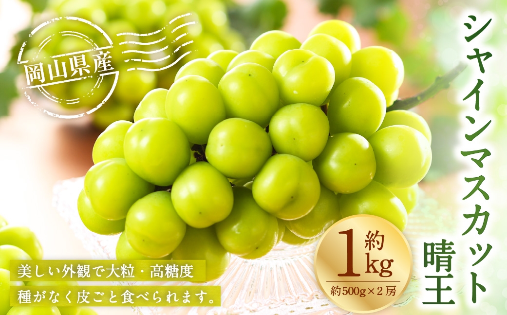 【2026年8月下旬～11月下旬発送予定】岡山県産 シャインマスカット 晴王 約1kg（500g×2房）