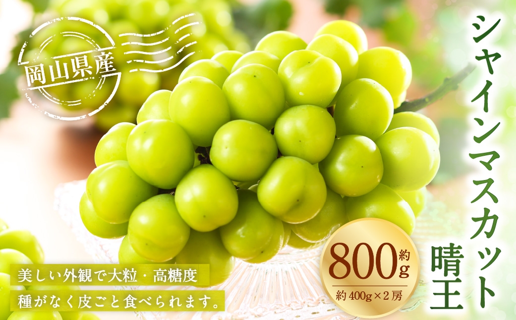 【2026年7月上旬～8月下旬発送予定】 岡山県産 シャインマスカット 晴王 約800g（約400g×2房）