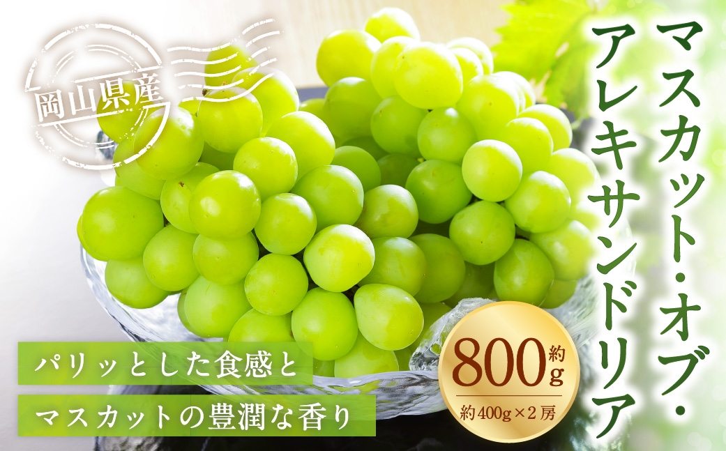 【2026年8月下旬～9月下旬発送予定】岡山県産 マスカット･オブ･アレキサンドリア 約800g（400g×2房）