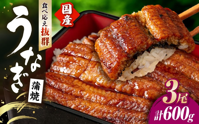 うなぎ 鰻 ウナギ 鰻蒲焼き うなぎ蒲焼き ひつまぶし うなぎ茶漬け おにぎり 国産 真空 冷凍 蒲焼 丑の日 個包装 小分け