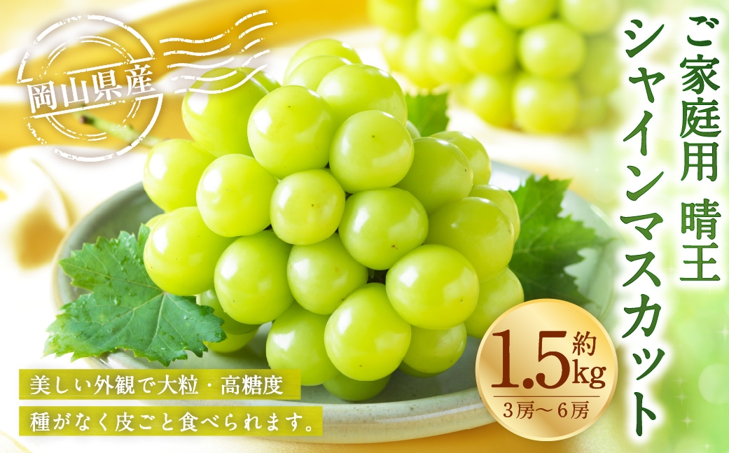 【2026年8月下旬～11月下旬発送予定】ご家庭用 岡山県産 シャインマスカット 晴王 約1.5kg（3房～6房）