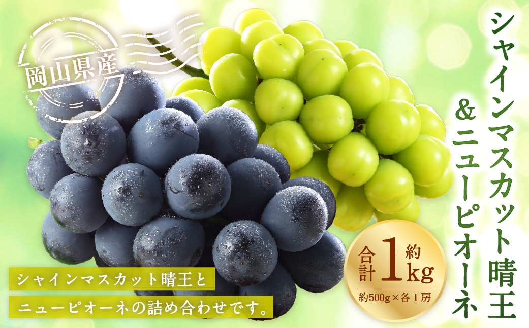 【2026年8月下旬～9月下旬発送予定】岡山県産 シャインマスカット「晴王」とニューピオーネ 2Lサイズ 計約1kg