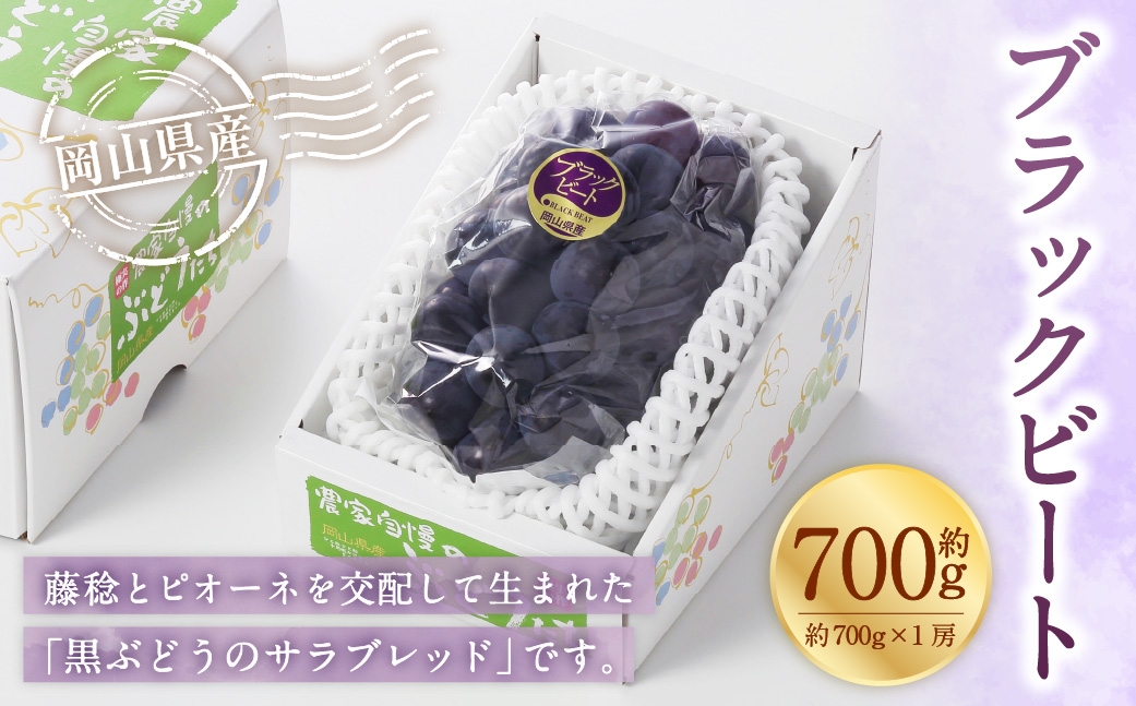 【2026年8月上旬～9月上旬発送予定】岡山県産 ブラックビート 約700g（約700g×1房）