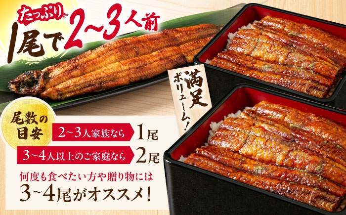 うなぎ 鰻 ウナギ 鰻蒲焼き うなぎ蒲焼き ひつまぶし うなぎ茶漬け おにぎり 国産 真空 冷凍 蒲焼 丑の日 個包装 小分け