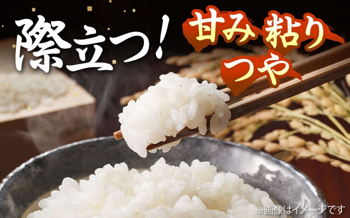 人気 贈り物 ギフト